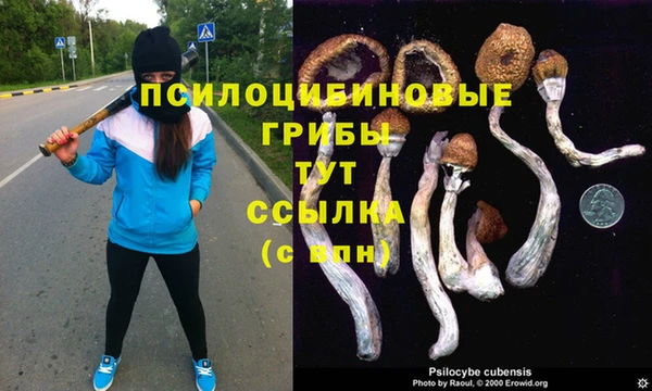 кокаин премиум Баксан